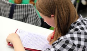 Social Work Virtual Writing  Lab